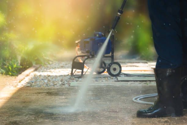 Animal Enclosure Cleaning in Oneonta, NY